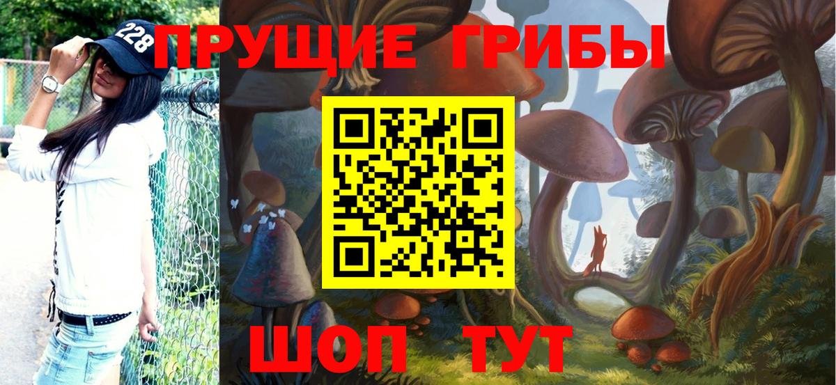 Псилоцибиновые грибы прущие грибы Королёв
