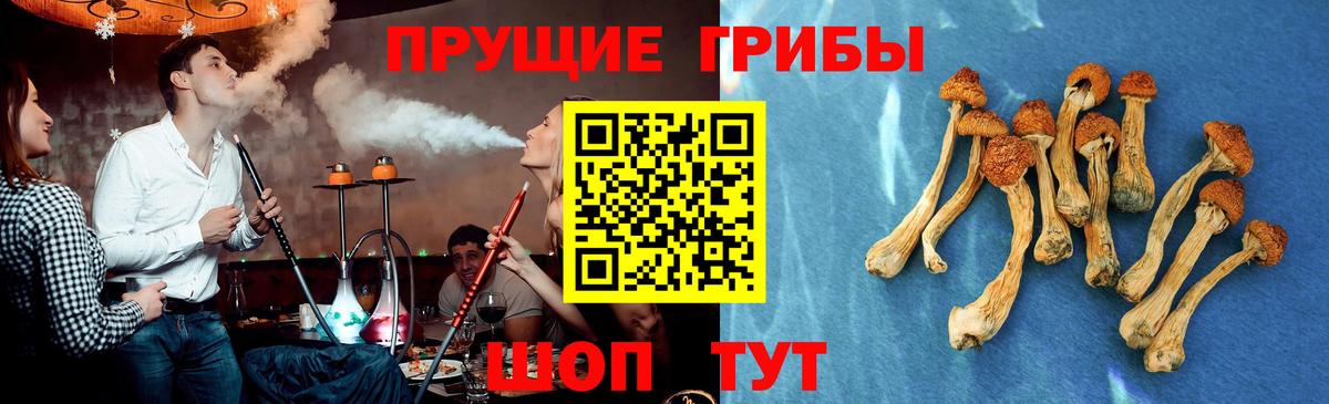 Галлюциногенные грибы мицелий  Галлюциногенные грибы Psilocybe  Вход с VPN  Королёв 